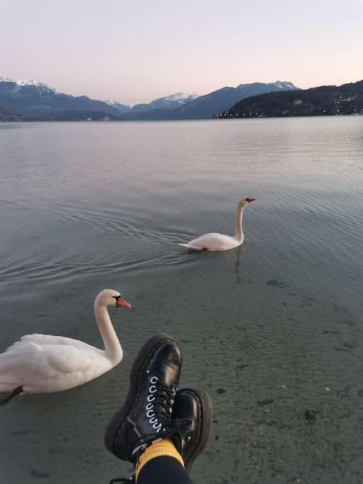 Apartment Cocon A La Campagne,proche Annecy *