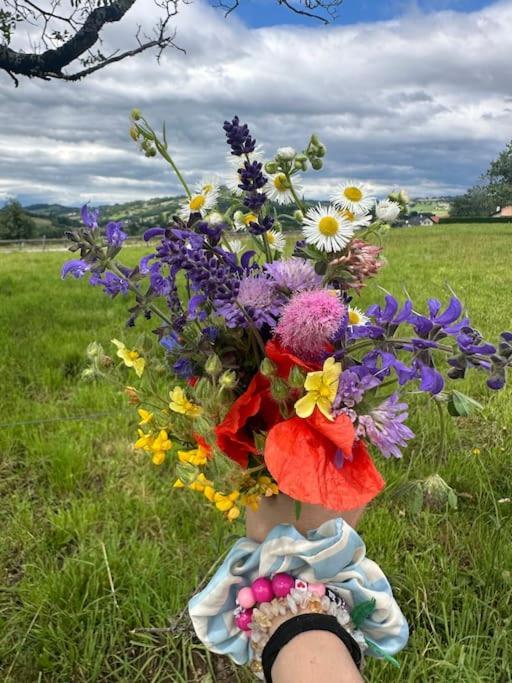 Cocon A La Campagne,proche Annecy * Alby-sur-Cheran